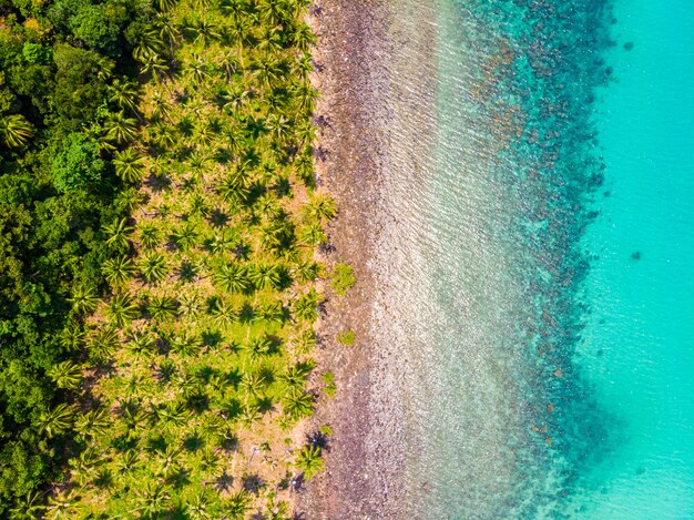ココヤシの木とビーチと海の美しい空撮