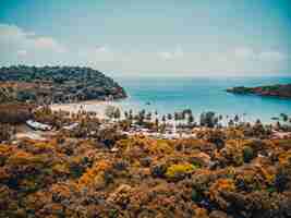 Free photo beautiful aerial view of beach and sea