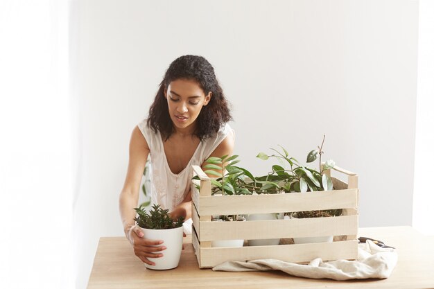 Beautiful african woman smiling taking care of plants in box at workplace. Copy space.
