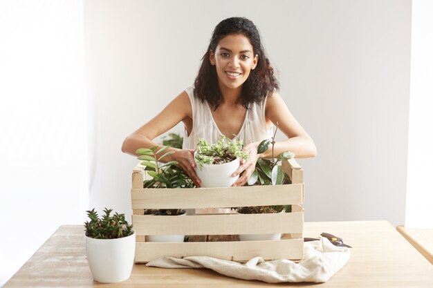 Beautiful african woman smiling taking flower pot from box with plants over white wall.