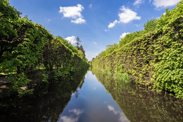 Beautiful alley with a river with the reflections of the trees in Gdansk, Poland