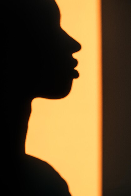 Beautiful anonymous woman face shadow