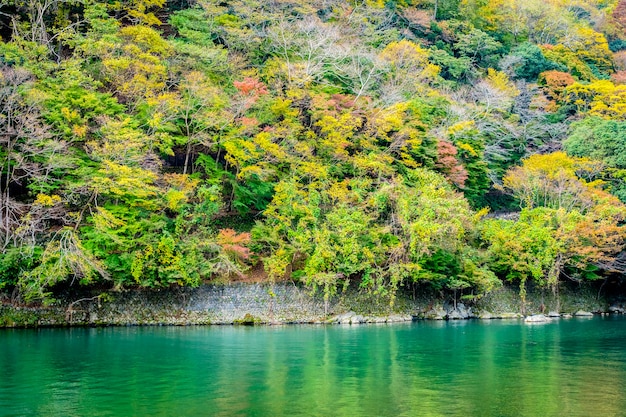 カエデの葉の木と湖の周りのボートで美しい嵐山川