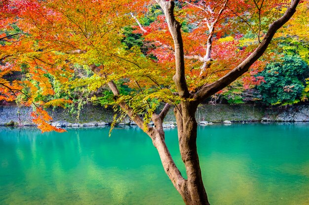 カエデの葉の木と湖の周りのボートで美しい嵐山川