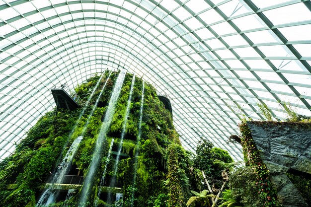 Beautiful architecture building flower dome garden and greenhouse forest for travel