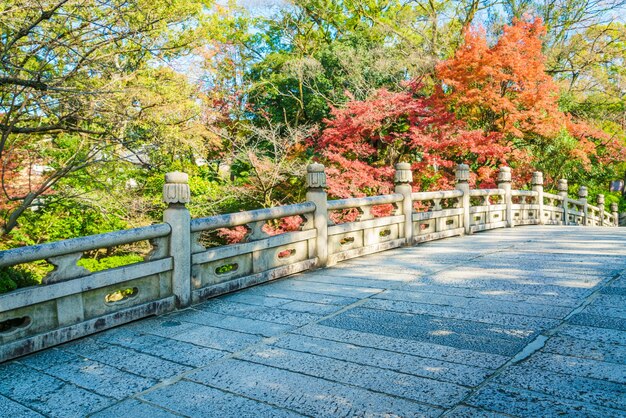 Beautiful Architecture in Kiyomizu-dera Temple Kyoto, Japan