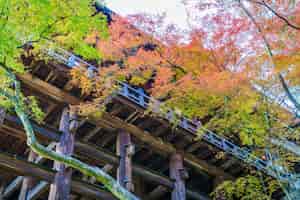 Free photo beautiful architecture in kiyomizu-dera temple kyoto, japan