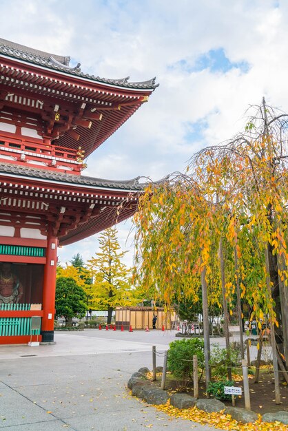 日本の浅草地域における浅草寺の美しい建築