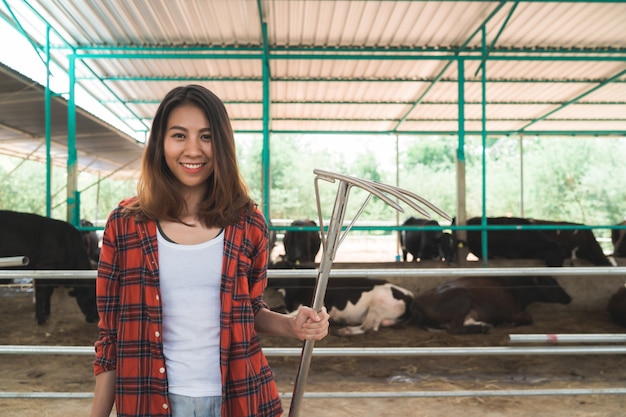 美しいアジアの女性や農家と酪農場の牛舎で牛