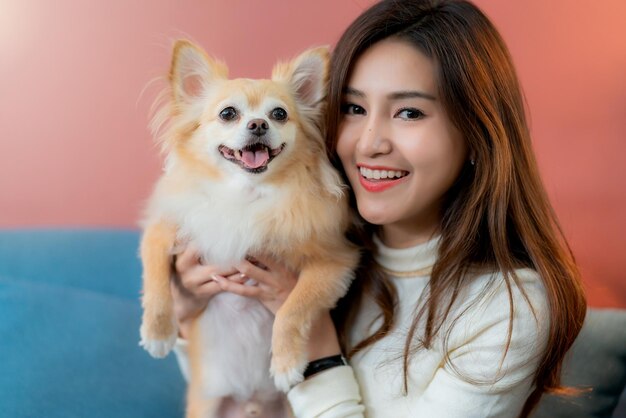 Beautiful attractive woman playing with lovely chihuahua brown hair dog with on sofa home background