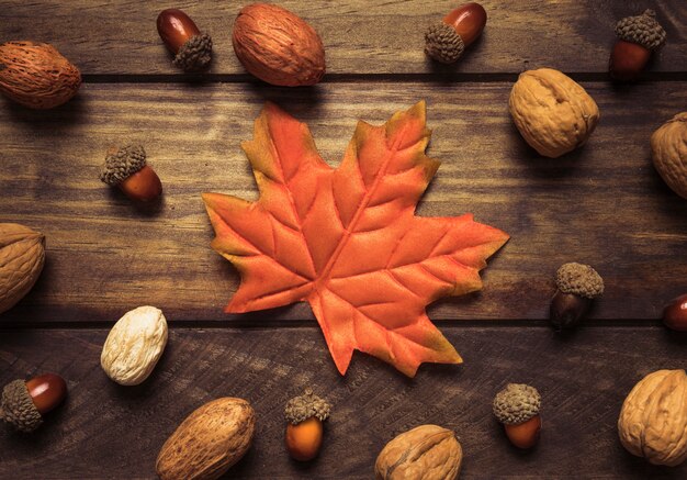 Beautiful autumn composition of leaf and nuts 