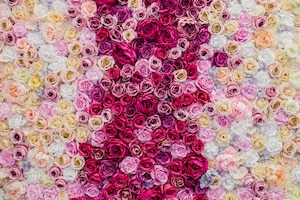 Free photo beautiful background roses for valentine´s day