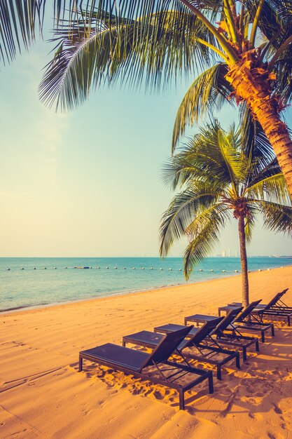 Beautiful beach and sea with palm tree