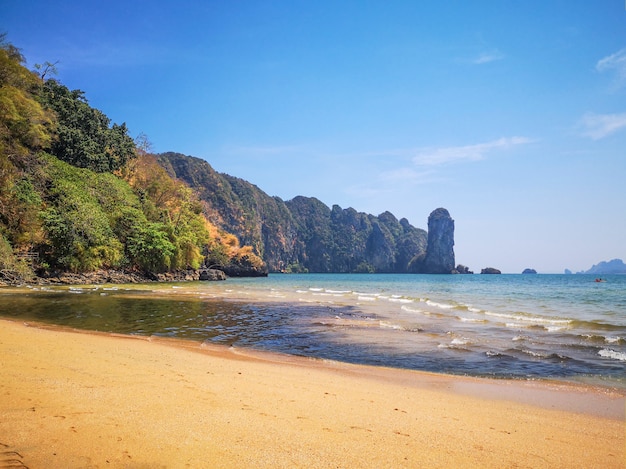 日当たりの良い夏の日の間に美しいビーチ