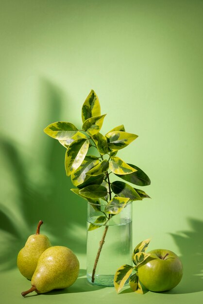 Beautiful bicolor plant details