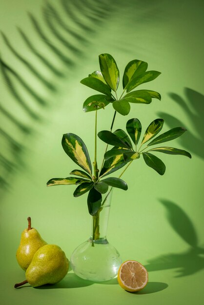 Bellissimi dettagli vegetali bicolore