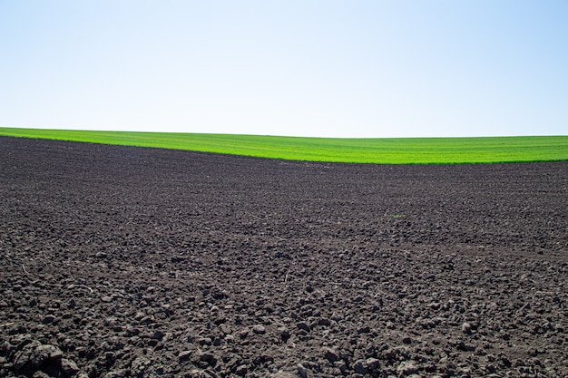 우크라이나의 아름다운 검은 지구 필드. 농업 농촌 풍경