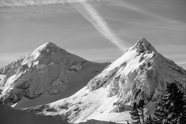 Beautiful black and white shot of snowy high mountains