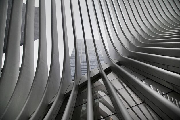 뉴욕시 지하철의 WTC Cortlandt 역 일명 오큘 러스의 아름다운 흑백 사진