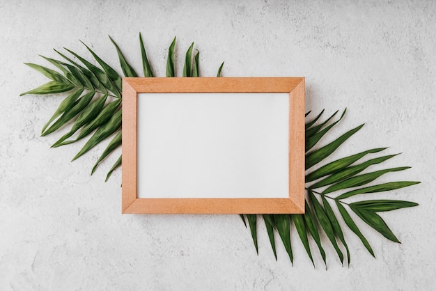 Beautiful blank frame concept