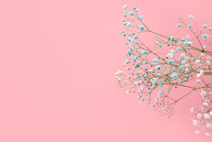 무료 Photo 아름다운 파란색 꽃 모음