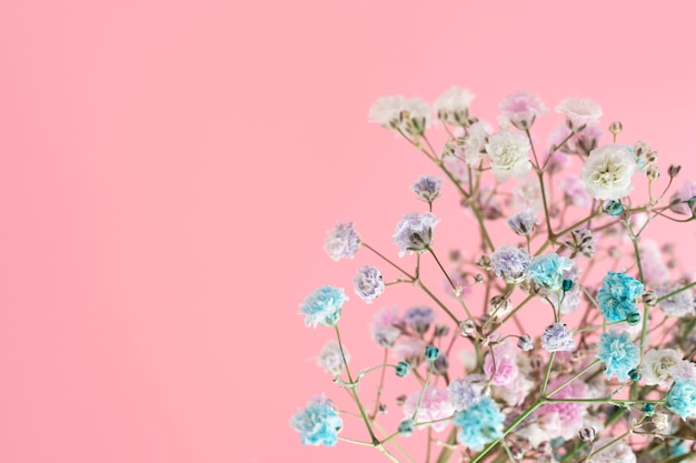 Beautiful blue assortment of flowers