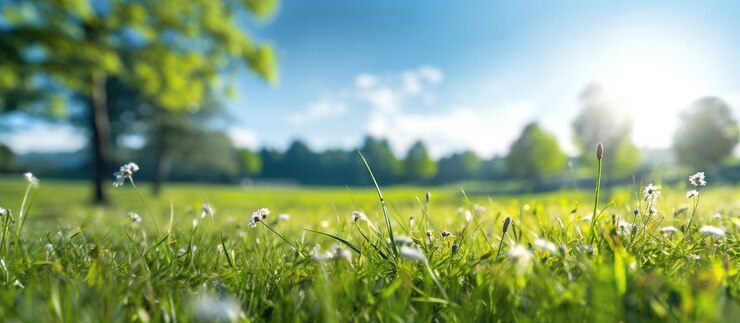 Free Photo beautiful blurred background ai generated image