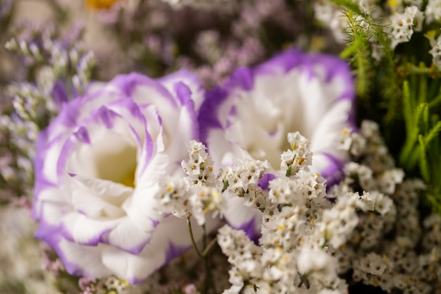 Bellissimi fiori sfocati ad alto angolo