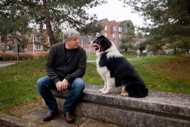 Beautiful border collie dog training with owner