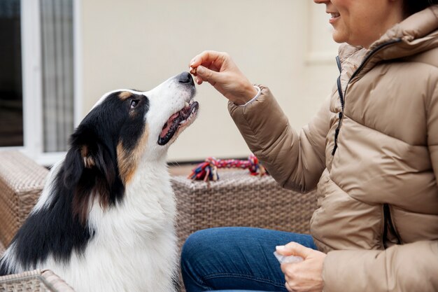 飼い主との美しいボーダーコリー犬の訓練