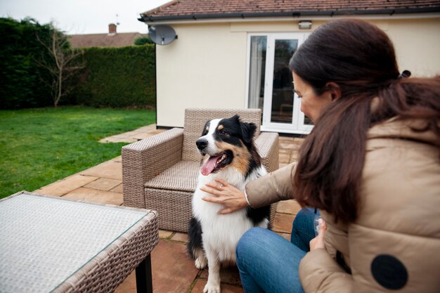 Beautiful border collie dog training with owner