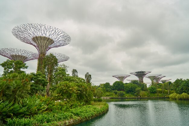 美しい植物ランドマーク現代の複雑な