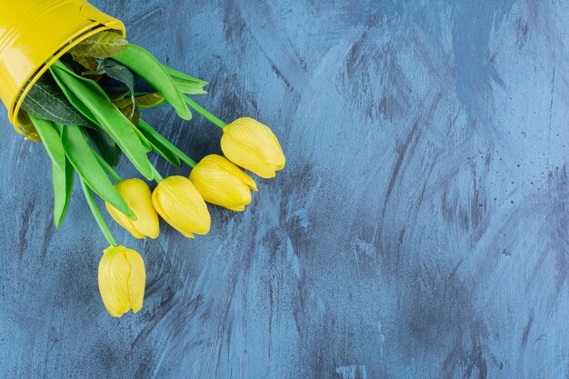 Beautiful bouquet of fresh yellow tulips on blue .