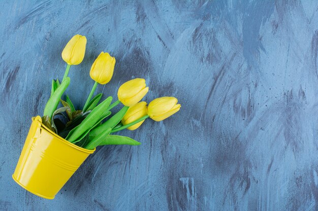 파란색에 신선한 노란색 튤립의 아름다운 꽃다발