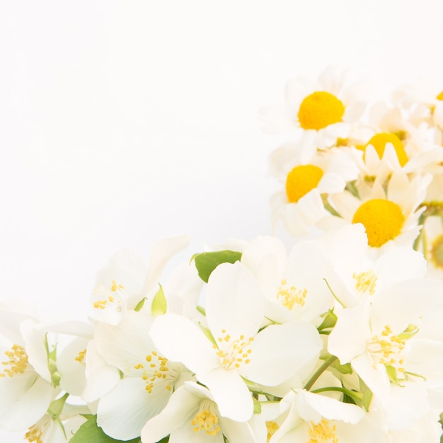 무료 사진 데이지의 아름 다운 꽃다발입니다.
