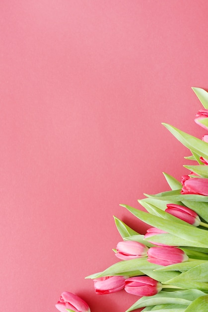 Бесплатное фото Красивый букет из тюльпанов на розовом фоне