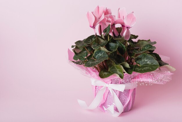 Beautiful bouquet on pink background