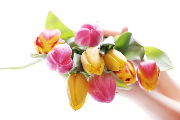 チューリップ、色とりどりのチューリップ、自然の背景の美しい花束