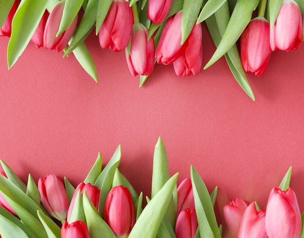 Beautiful bouquet of tulips on pink background