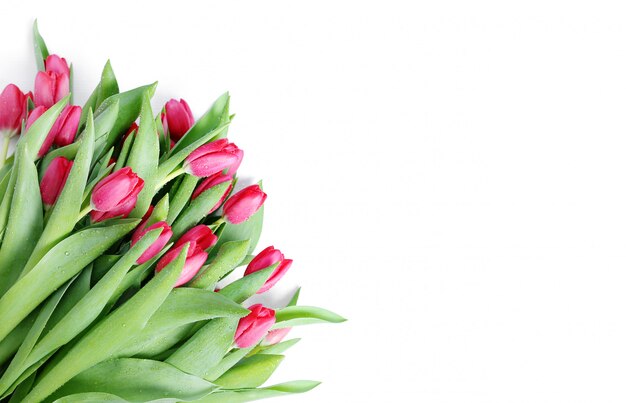 Beautiful bouquet of tulips with copyspace