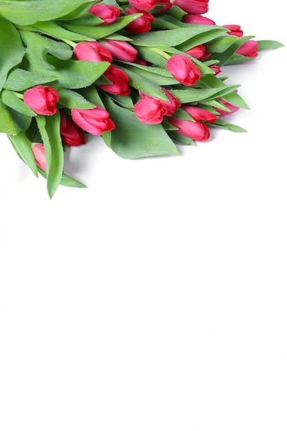 チューリップの美しい花束