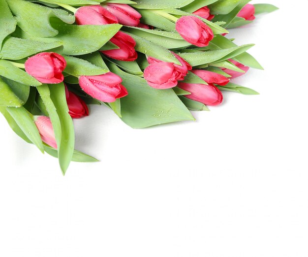 Beautiful bouquet of tulips