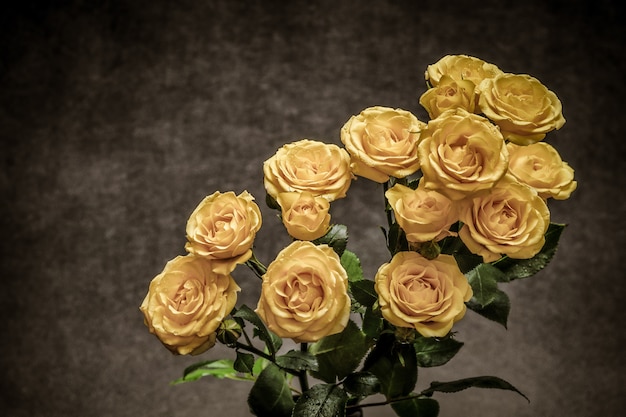 Free photo beautiful bouquet of yellow roses on a grey background