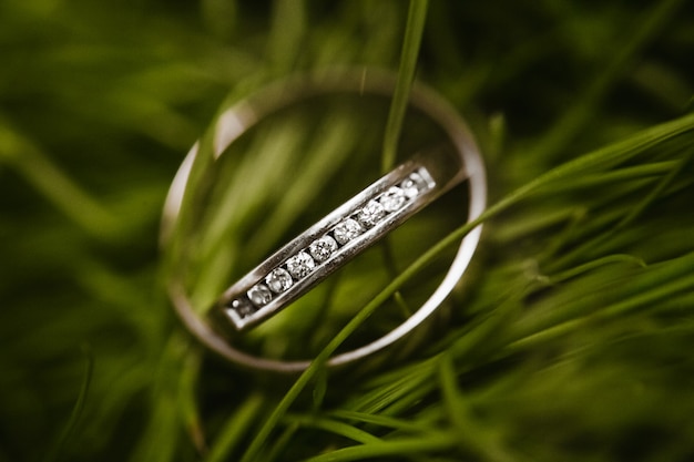 Beautiful bridal wedding rings in the grass