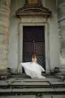 Foto gratuita una bella sposa che indossa un abito da sposa
