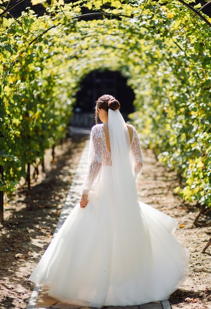 Beautiful bride in white dress posing.