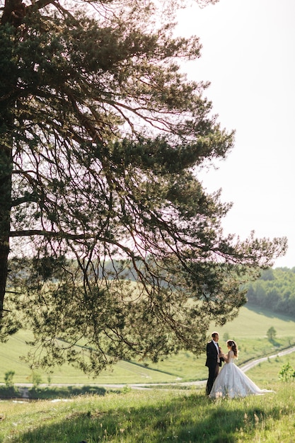 Beautiful brides are standing under a tree in the summer