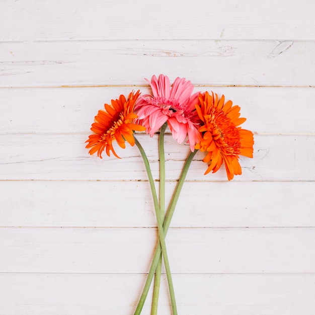 Beautiful bright flowers on table