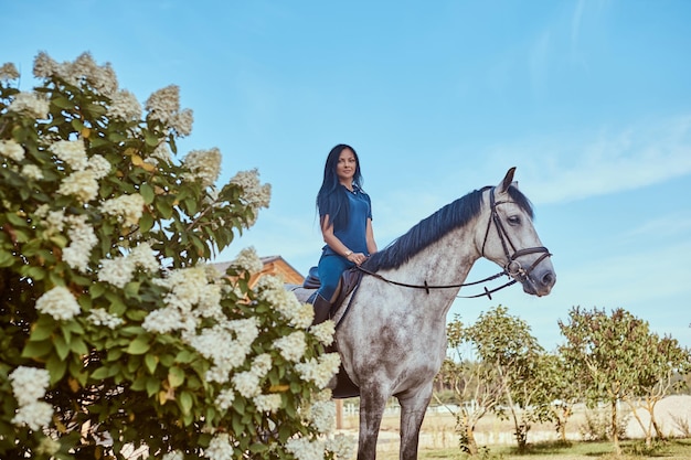 Foto gratuita bella femmina castana che monta un cavallo grigio dapple vicino ai cespugli lilla nel giardino.