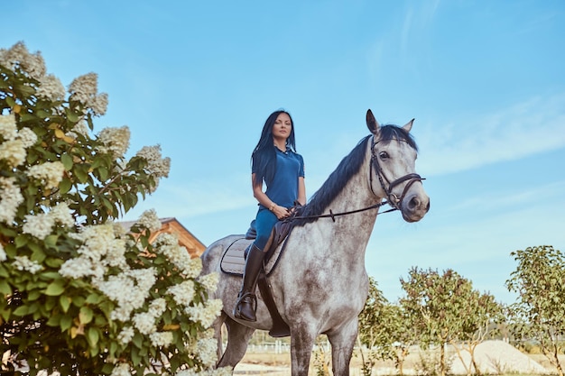 Beautiful brunette female riding a dapple gray horse near lilac bushes in the garden.